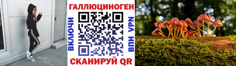 Галлюциногенные грибы Psilocybine cubensis Шацк